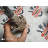 Осушитель кондиционера Toyota 88471-20050 в Омске