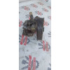 ГУР Mazda Demio DY3W ZJVE/Verisa DC в Омске