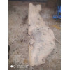 Бак топливный, Renault Clio/Symbol 1998-2008 [7700434640] в Омске
