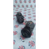 Компрессор кондиционера BMW X5 E53 64528377067 в Омске
