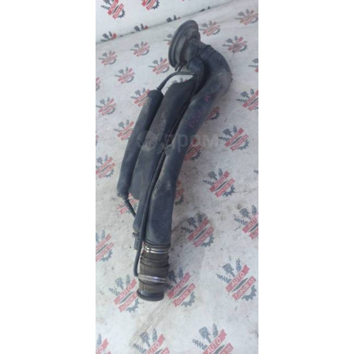 Горловина топливного бака Peugeot 206 2000г TU3JP в Омске