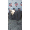 Бак топливный Chery Amulet A15 A111101110BА в Омске
