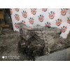 Вариатор АКПП Audi A6 C5 GHQ AFV 1.9 дизель в Омске