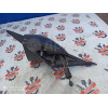 Зеркало левое Dodge Neon мех в Омске