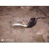 Замок двери задней правой Honda CR-V RD1 72610-S10-003 в Омске