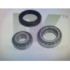 Подшипник ступицы комплект Mercedes Benz NK 753310 в Омске